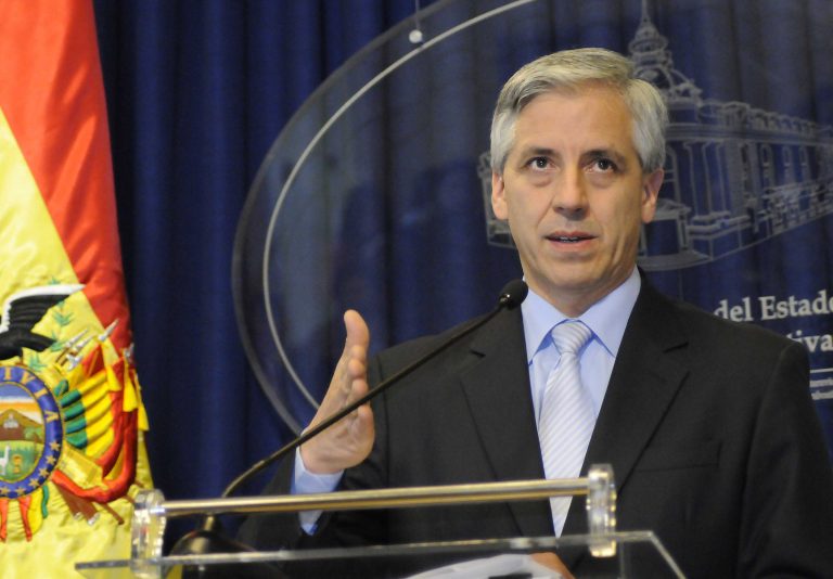 Vicepresidente dice que un informe confirma que Rozsa lideró grupo terrorista en Bolivia