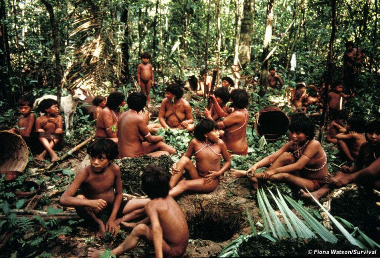 Buscadores de oro invaden tierras protegidas de la Amazonia brasileña tras asesinar a un líder indígena