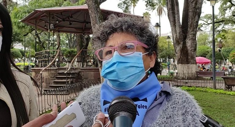 ADEVIFA SE PRONUNCIA RESPECTO A LA MENOR EN ESTADO DE GESTACIÓN