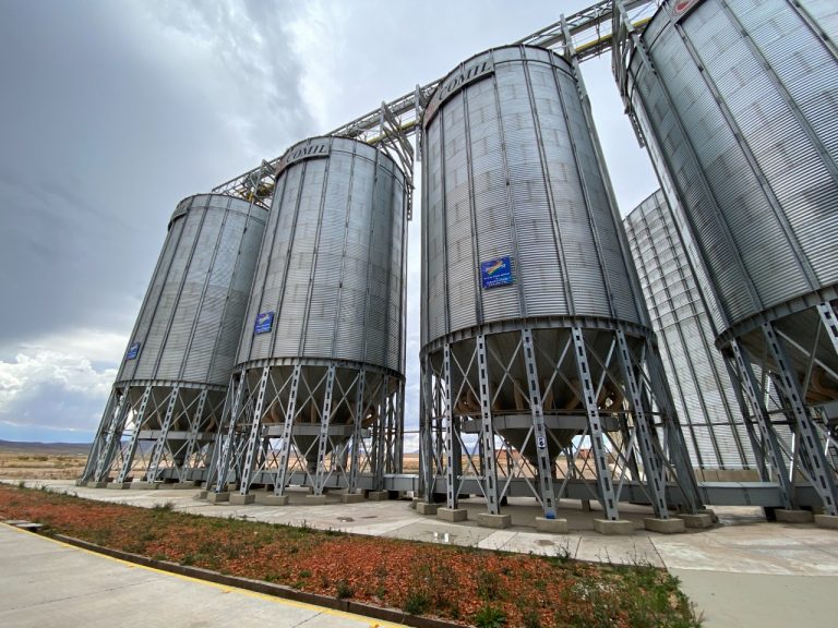EMAPA garantiza maíz para productores de carne de cerdo y pollo