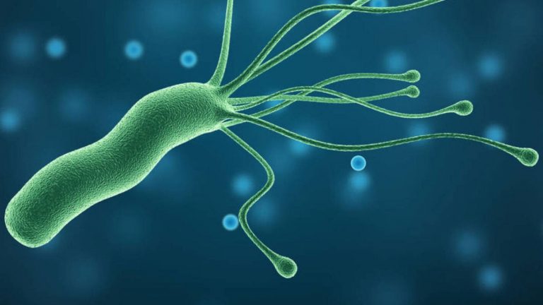 Científicos hallan bacteria que pondría fin a las infecciones por COVID-19