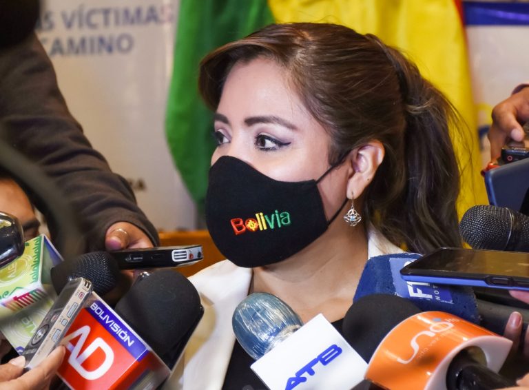 Alcón «La dirigencia cívica en Santa Cruz busca la confrontación y no la despolitización del CENSO»