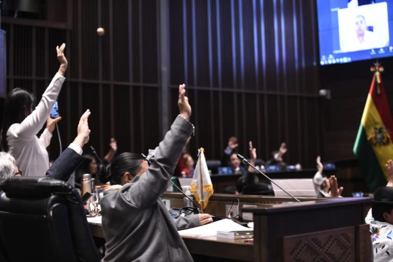 Senado aprueba la Ley del Censo y remite al ejecutivo para su promulgación