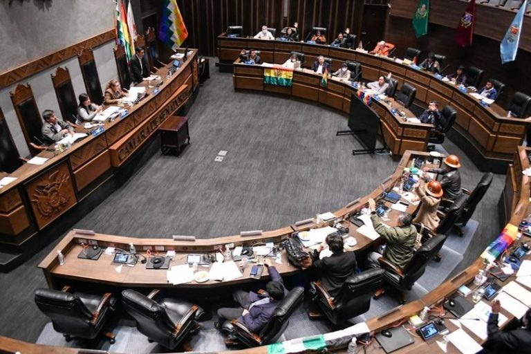 Senado aprueba Ley 363 para ajustar los plazos para las elecciones judiciales