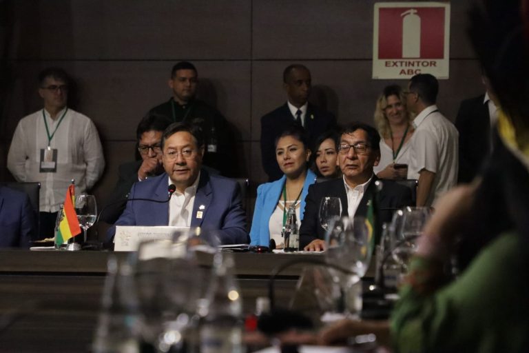 Cumbre Amazónica: Bolivia plantea siete líneas de acción para proteger y preservar la Amazonía
