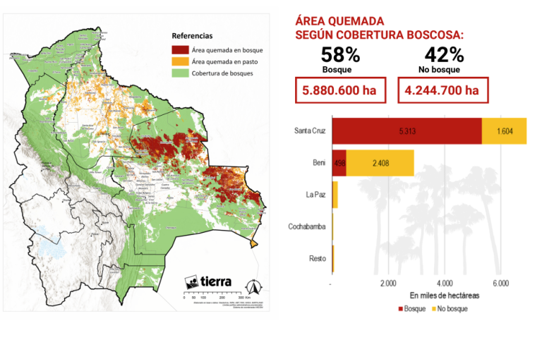 Fundación Tierra: «La información que estamos brindando no es un reporte oficial»