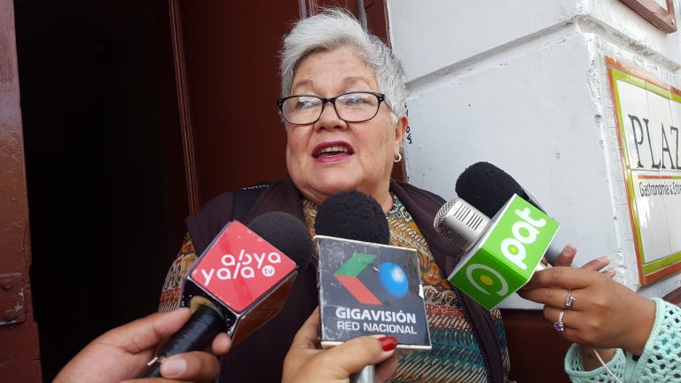 Senadora Salame afirma que ‘ningún ciudadano boliviano tiene que cumplir con los fallos del TCP’